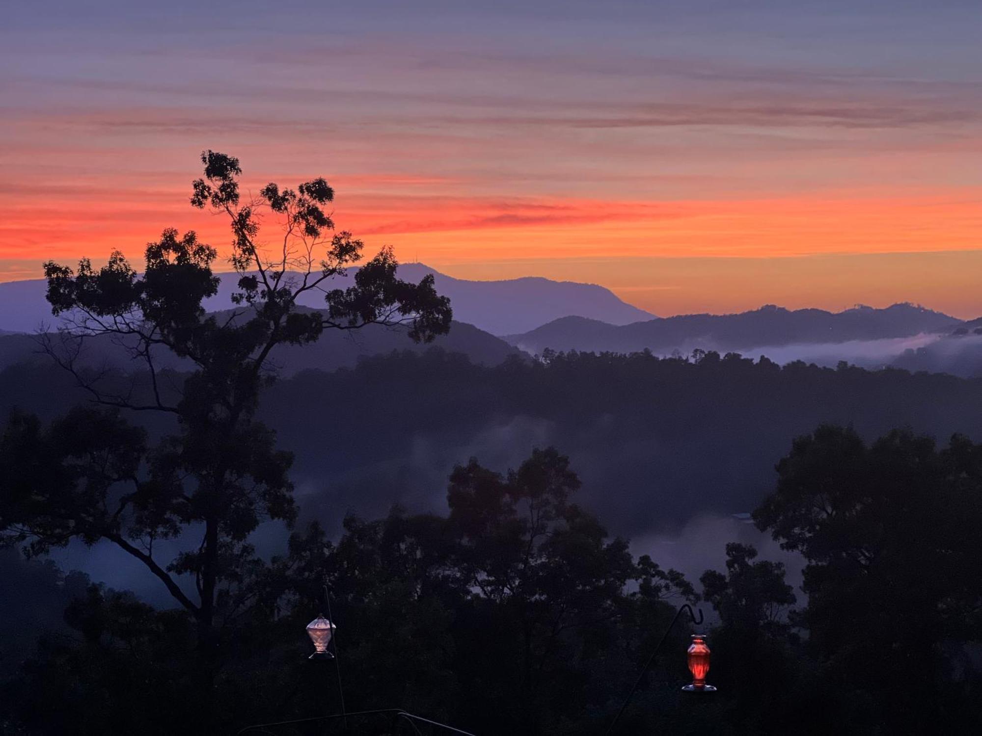 Smoky Best - Glowing Twilight Pigeon Forge Eksteriør bilde