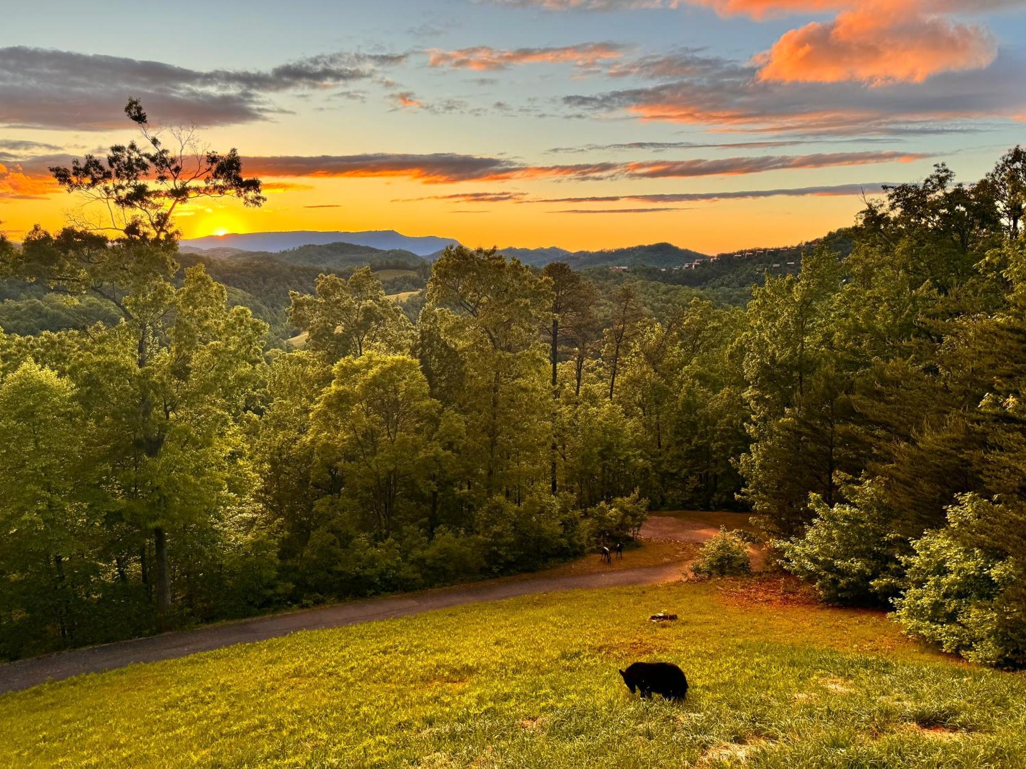 Smoky Best - Glowing Twilight Pigeon Forge Eksteriør bilde